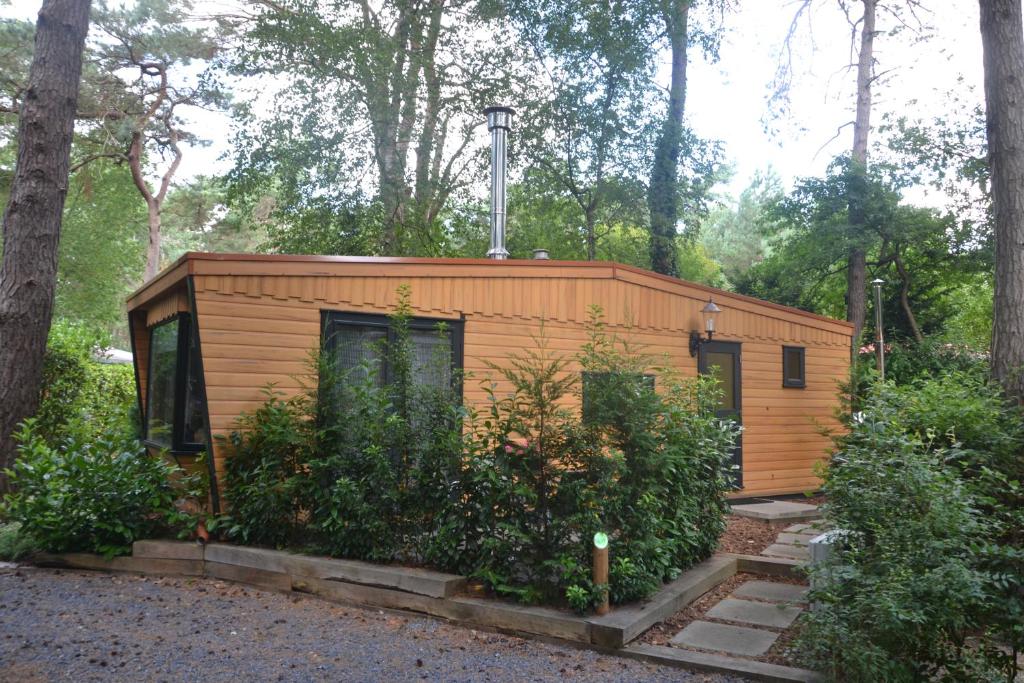 a small wooden cabin in the woods with trees at VH Wellness Natuurhuisje Het spikkennust in Diever