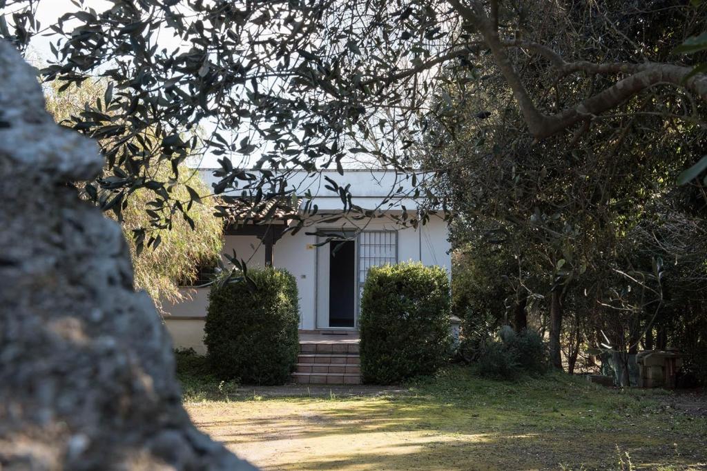 una casa blanca con una puerta y algunos arbustos en Villa Zoë, en Torre dell'Orso