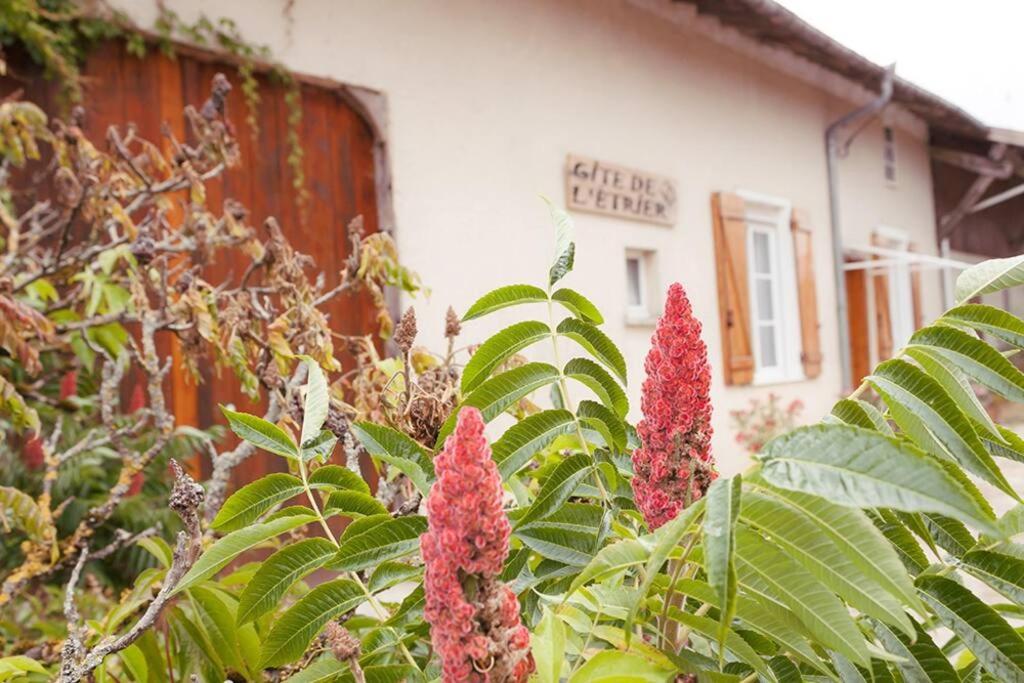 eine Gruppe von Pflanzen mit rosa Blumen vor einem Gebäude in der Unterkunft Gîte de l'Etrier 3 * : Le calme à la campagne ! in Aubercy