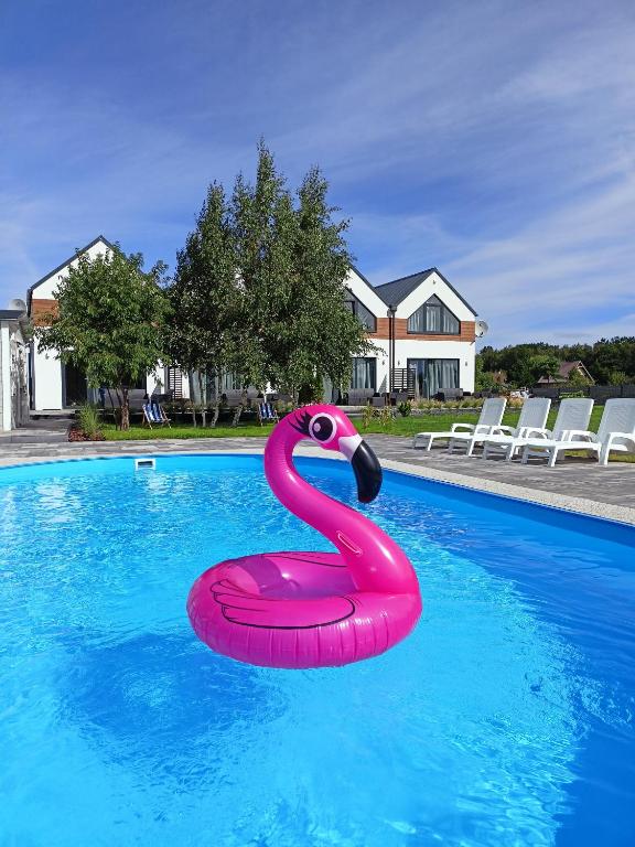 a pink swan float in a swimming pool at Słońce i Woda Domki Całoroczne, Podgrzewany Basen, Balia z jacuzzi, Starlink Internet, Klimatyzacja, Bezpłatny Parking in Łeba