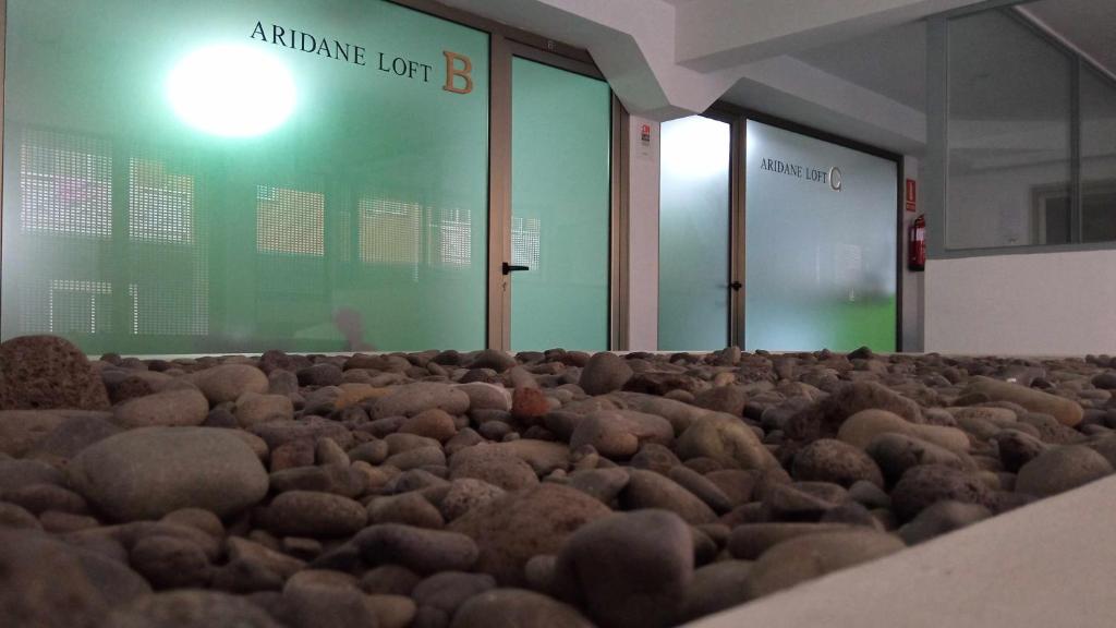 Aridane loft - Appartement Met één Slaapkamer