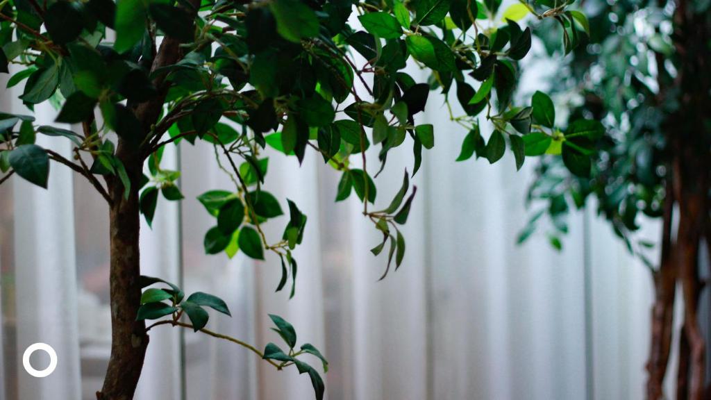 Thingholt by Center Hotels - Resim 26