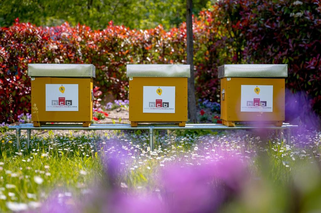 Hotel Cosmopolitan Bologna - Resim 34