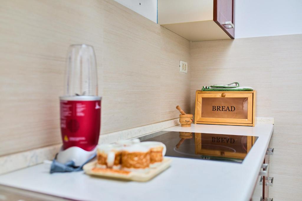 Kuchyň nebo kuchyňský kout v ubytování Apartman Ani