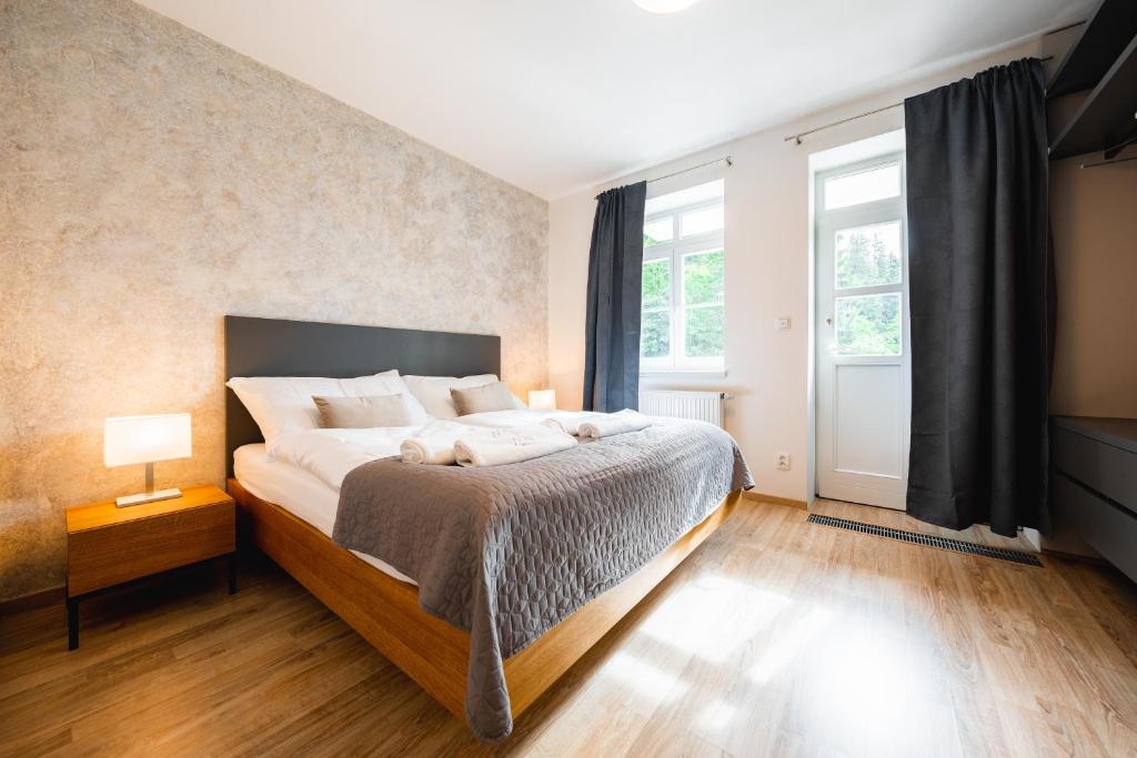 卡爾洛瓦斯圖丹卡的住宿－Apartmán U Vlka - Hubertus, Karlova Studánka，一间卧室设有一张床和一个大窗户
