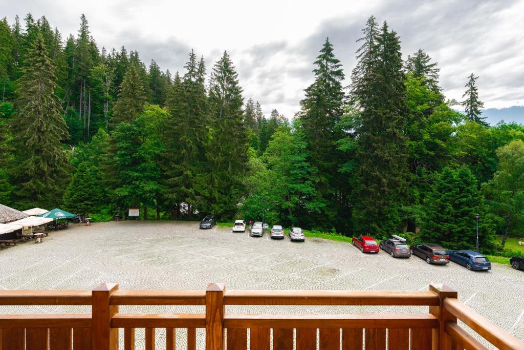 Príroda v okolí apartmánu