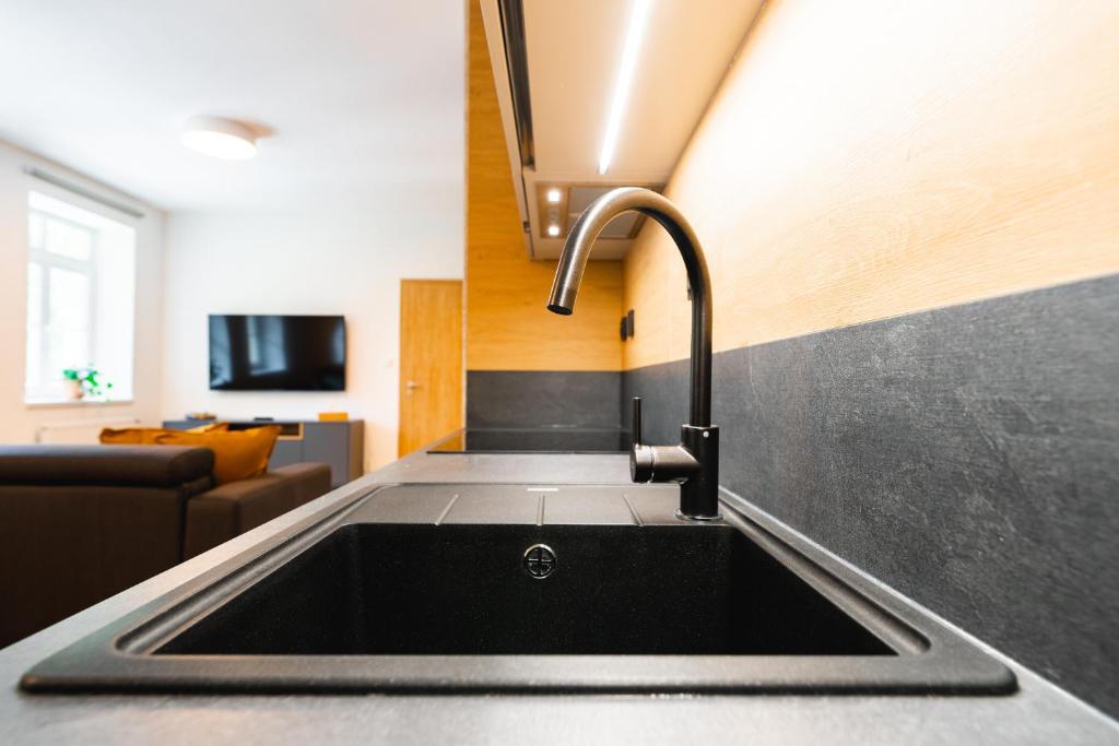 Kuchyňa alebo kuchynka v ubytovaní Apartmán U Vlka - Hubertus, Karlova Studánka