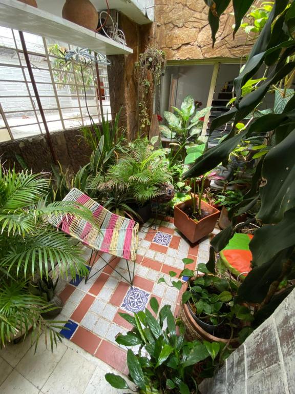 Zahrada ubytování Hostal Casa Las Tías