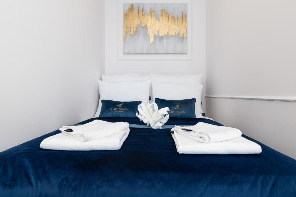 Baltini Premium Apartament Polanki Aqua - 8