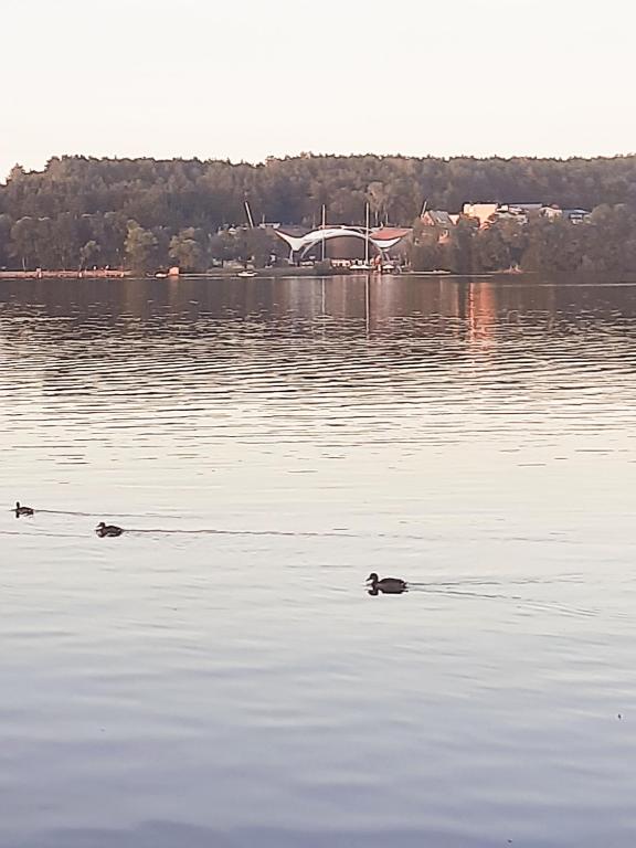 Fotografia z galérie ubytovania Apartament Stella v destinácii Mrągowo