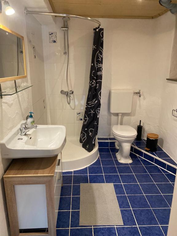 a bathroom with a sink and a shower and a toilet at Ferienwohnung mit Sauna am Wald - Eifel in Kommern