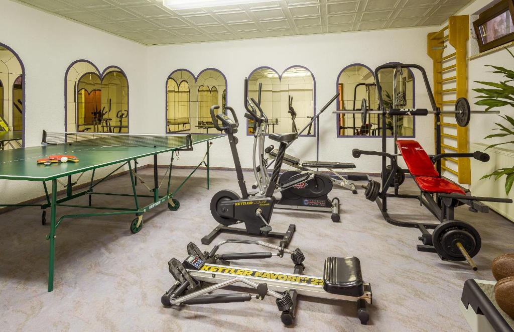 Fitness centrum a/nebo fitness zařízení v ubytování Hotel Schloessmann Garni