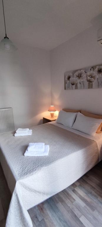 Postel nebo postele na pokoji v ubytování Meteora Mandras House