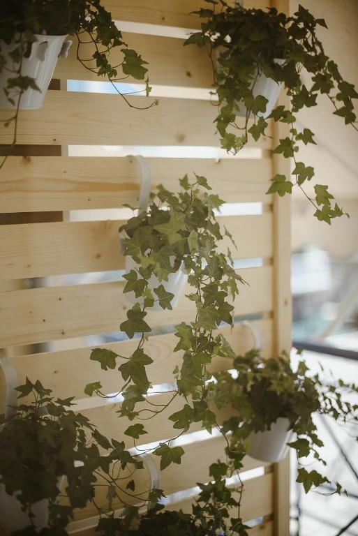 Central Studios Apartments City Center - 17