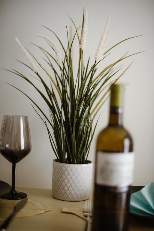 Central Studios Apartments City Center - 15