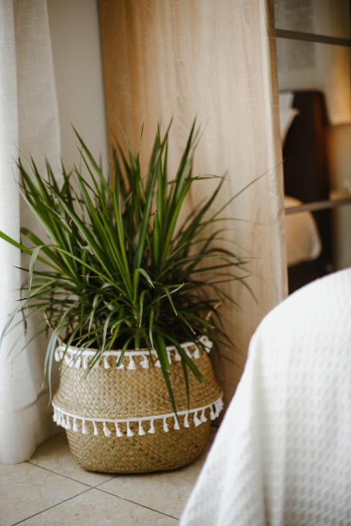 Central Studios Apartments City Center - 11