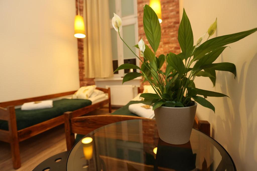 Posezení v ubytování Deja Vu Hostel