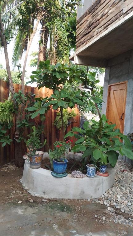 Un mucchio di piante in vaso, sedute su una lastra di cemento. di Casa de Kai Mazunte a Mazunte