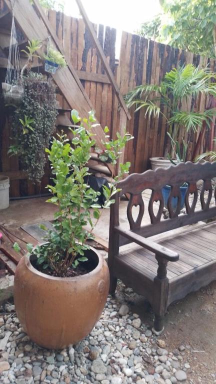 Giardino di Casa de Kai Mazunte