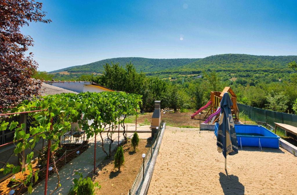 - une vue sur une aire de jeux avec un toboggan et des vignes dans l'établissement Casa La Dăvrei, à Babadau