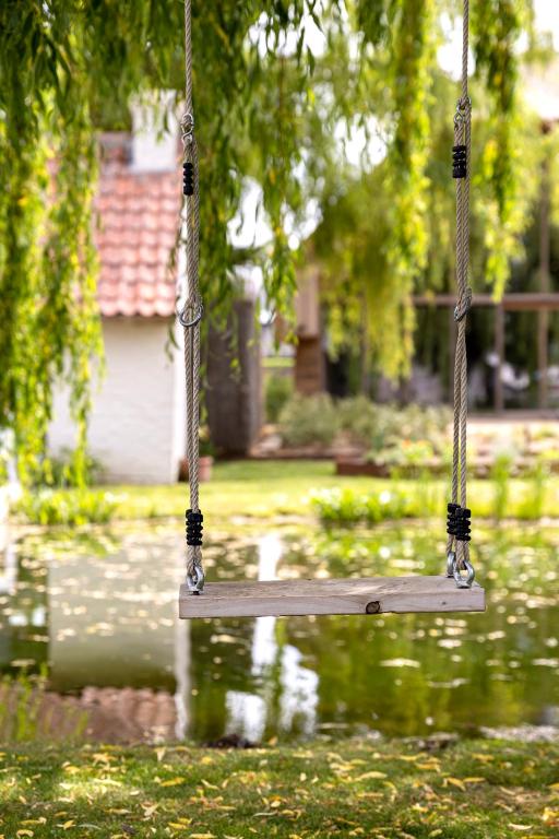 a swing hanging from a tree in a yard at B&amp;B Leonie in Alveringem