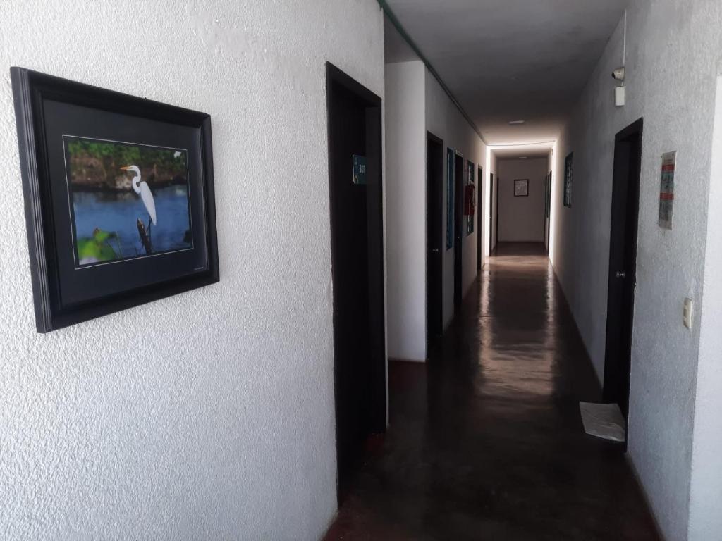 Fotografie z fotogalerie ubytování HOTEL ACUARIO CATEMACO v destinaci Catemaco