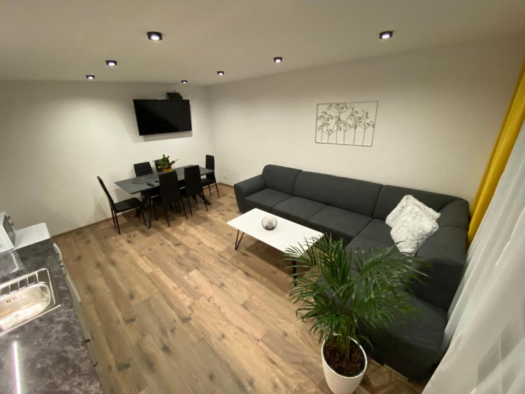 TV a/nebo společenská místnost v ubytování Apartmany ROSTER