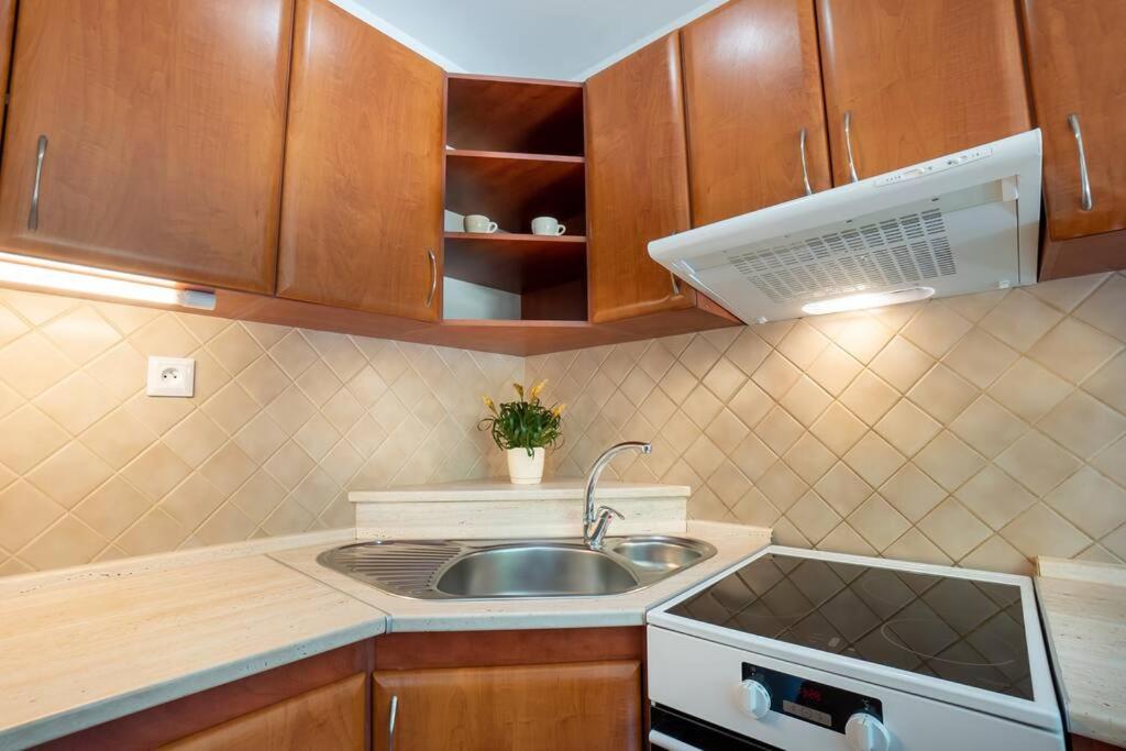 Kuchyň nebo kuchyňský kout v ubytování Excellent Large Lux Apartment Central Martin