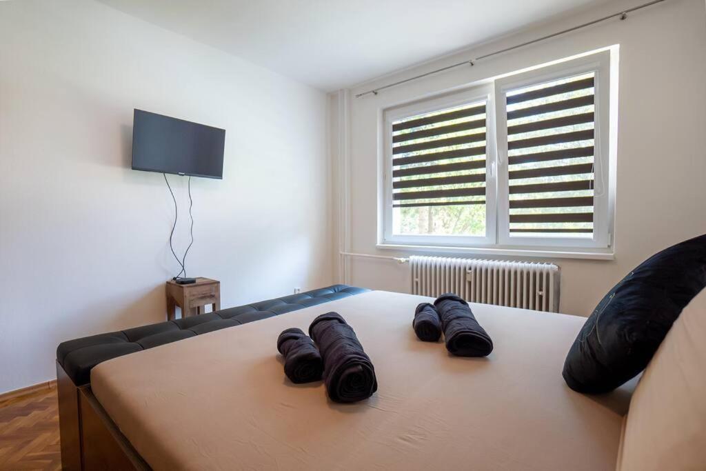 Postel nebo postele na pokoji v ubytování Excellent Large Lux Apartment Central Martin