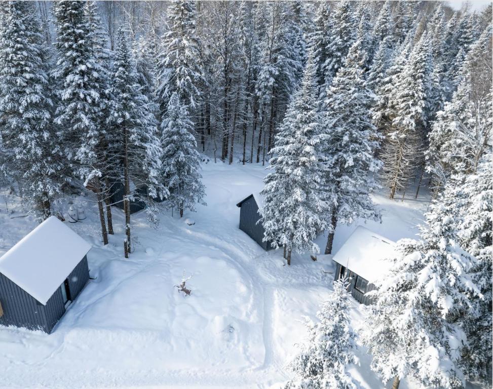 Les Petits Chalets v zimě