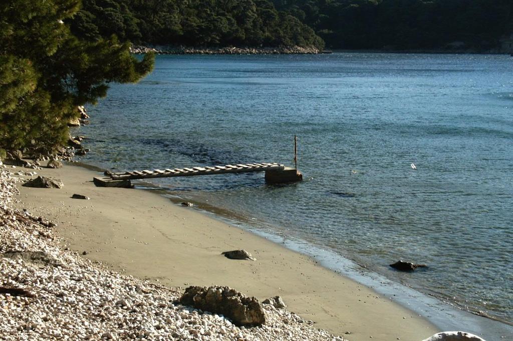 Fotografia z galérie ubytovania Apartments by the sea Cove Saplunara, Mljet - 4900 v destinácii Saplunara