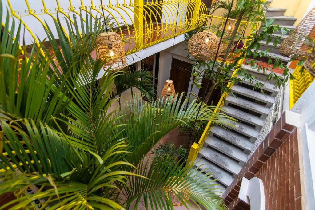 Fotografie z fotogalerie ubytování Why Not Hotel v destinaci Antigua Guatemala