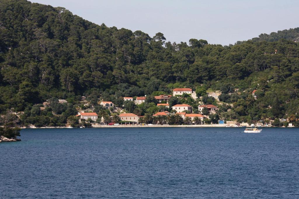 Fotografia z galérie ubytovania Apartments by the sea Babine Kuce, Mljet - 610 v destinácii Goveđari