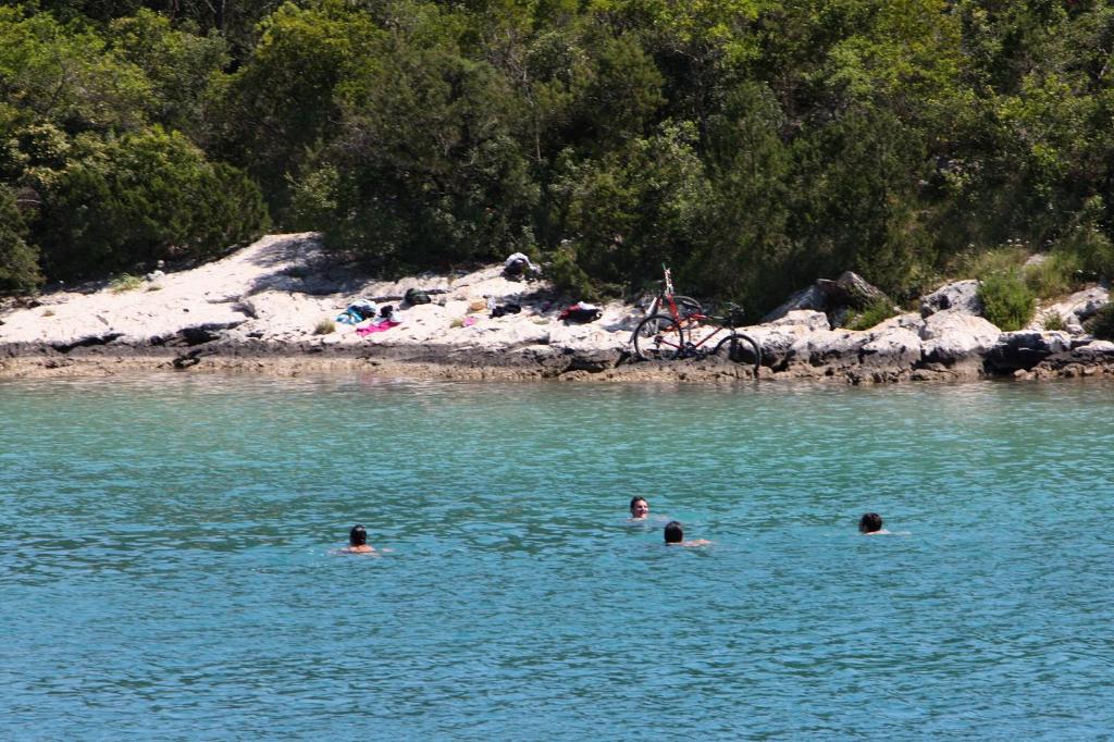 Fotografia z galérie ubytovania Apartments by the sea Babine Kuce, Mljet - 610 v destinácii Goveđari