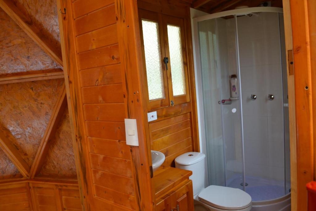 un bagno con wc e doccia in vetro di Arrecife Glamping a Guatavita