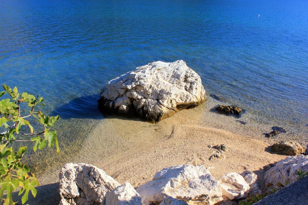 Fotografia z galérie ubytovania Apartments by the sea Slano, Dubrovnik - 8608 v Slano