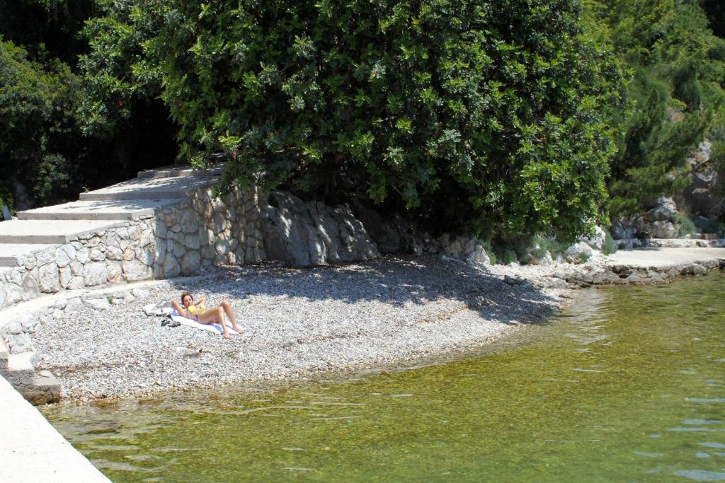 Fotografia z galérie ubytovania Apartments by the sea Zaton Mali (Dubrovnik) - 9016 v Zatone