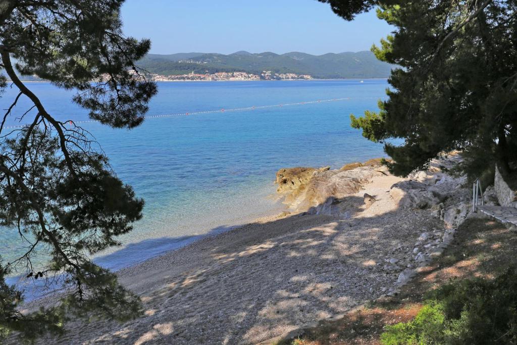 Príroda v okolí apartmánu