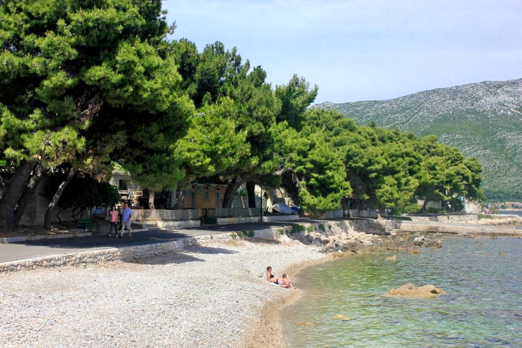 Fotografia z galérie ubytovania Apartments with a parking space Orebic, Peljesac - 10092 v destinácii Orebić