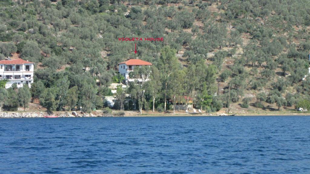 a house on the shore of a large body of water at Violetta Studios & Apartments in Mil&iacute;na