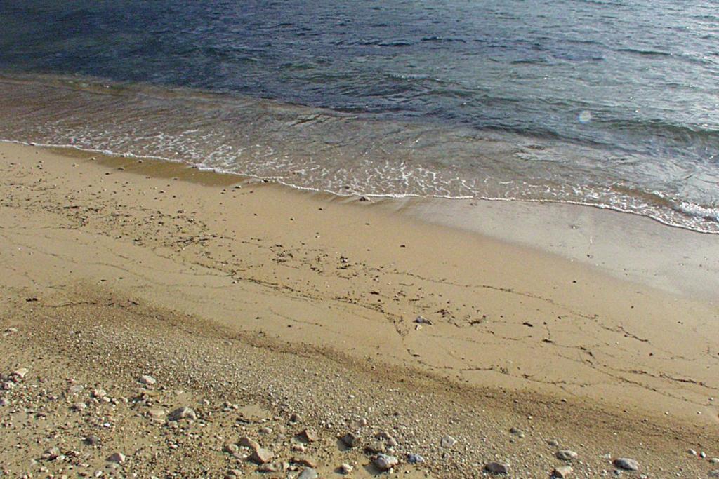 Fotografia z galérie ubytovania Apartments by the sea Prapratno (Peljesac) - 13500 v destinácii Ston