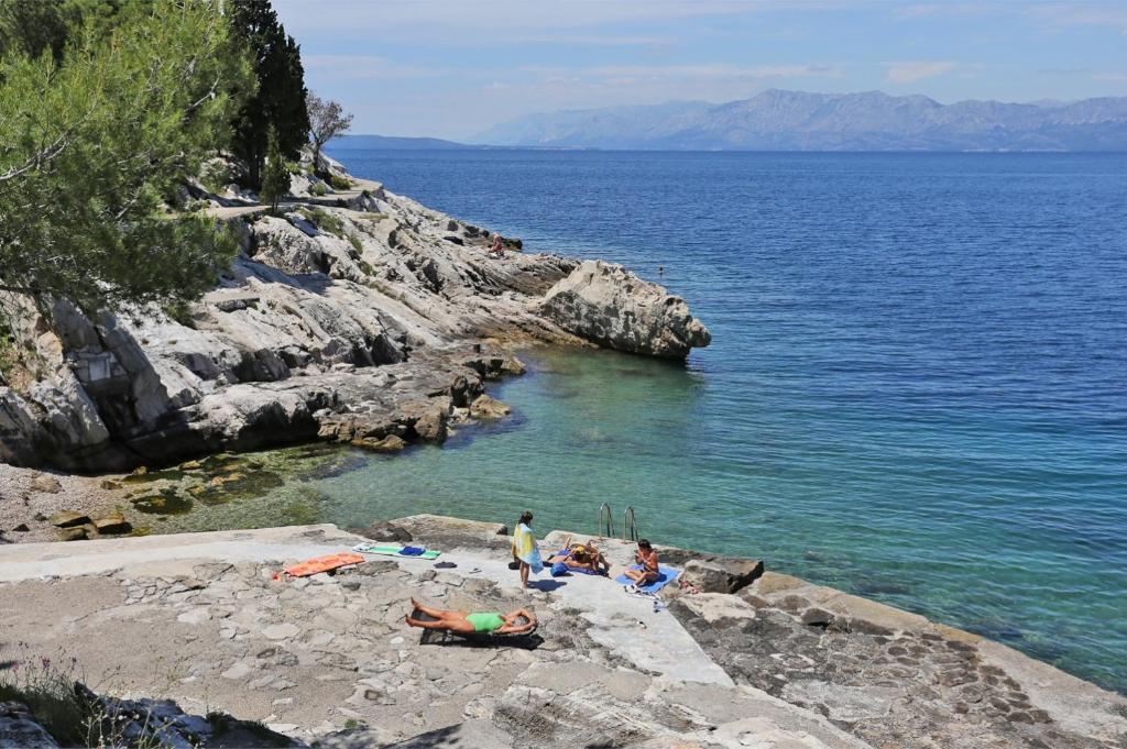 Fotografia z galérie ubytovania Apartments with a parking space Trpanj, Peljesac - 15710 v destinácii Trpanj