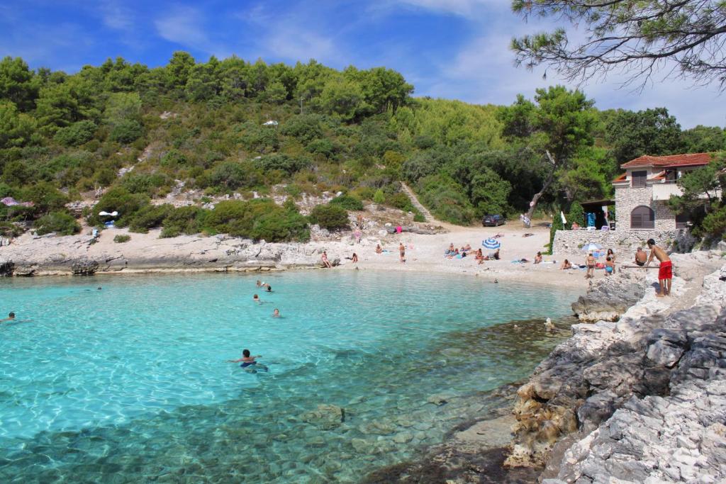 Fotografie z fotogalerie ubytování Apartments by the sea Zavalatica, Korcula - 4419 v destinaci Zavalatica