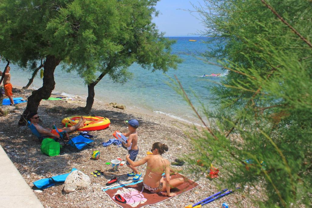 Príroda v okolí apartmánu