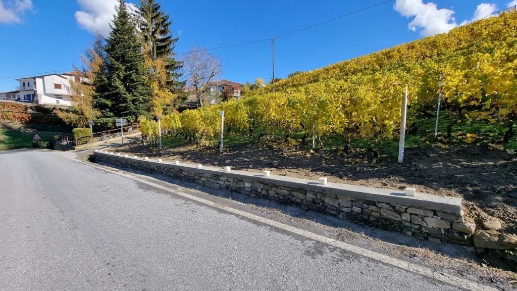 Paesaggio naturale nelle vicinanze dell'appartamento