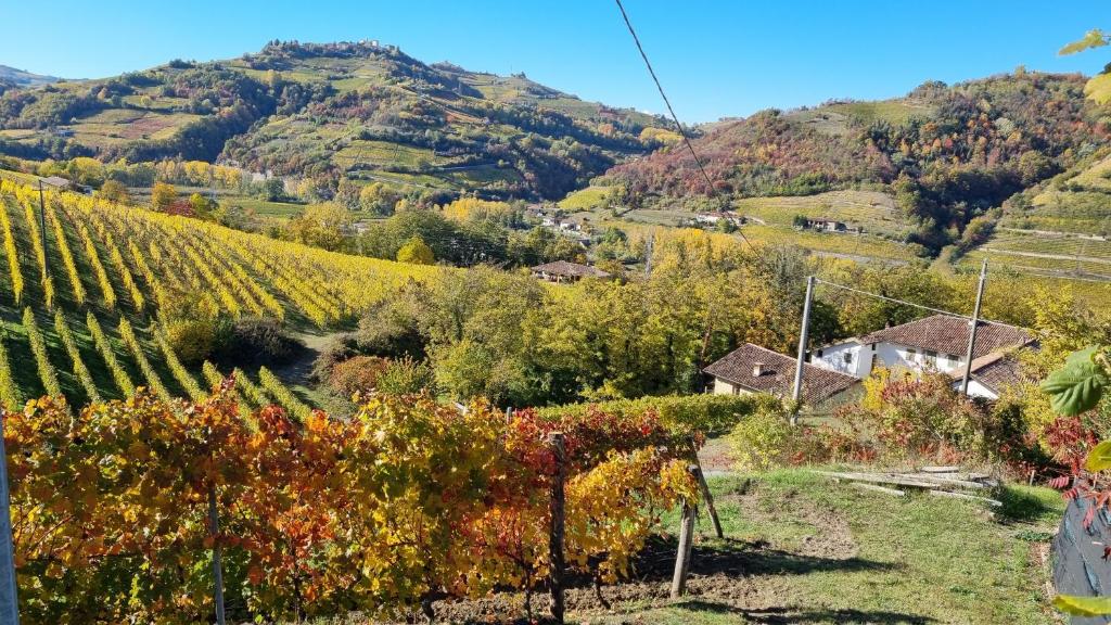 Paesaggio naturale nelle vicinanze dell'appartamento