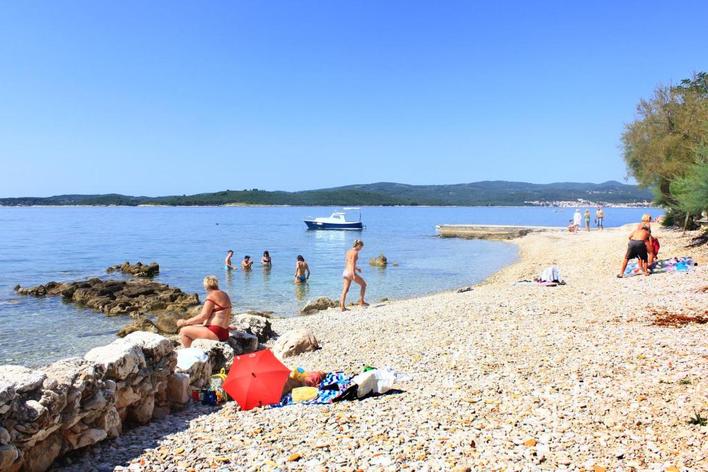Fotografia z galérie ubytovania Apartments with a parking space Orebic, Peljesac - 4501 v destinácii Orebić