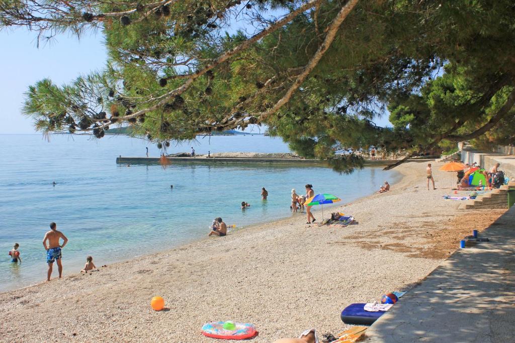 Fotografia z galérie ubytovania Apartments with a parking space Mokalo, Peljesac - 4495 v destinácii Orebić