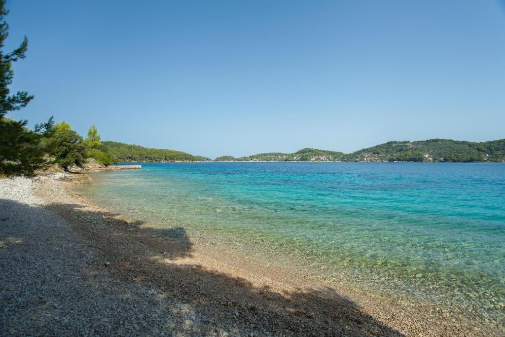a beach with blue water and trees on it at Seaside holiday house Cove Gabrica, Korcula - 17195 in Vela Luka