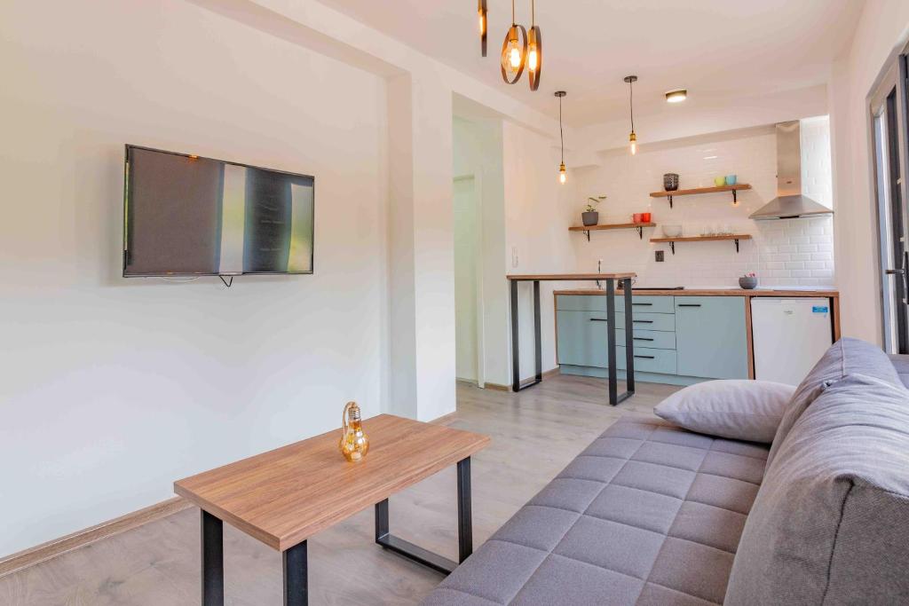 TV a/nebo společenská místnost v ubytování AGH Elite Apartments & Studios